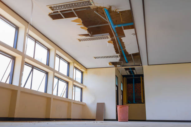 Best Water damage restoration near me  in Abbeville, AL
