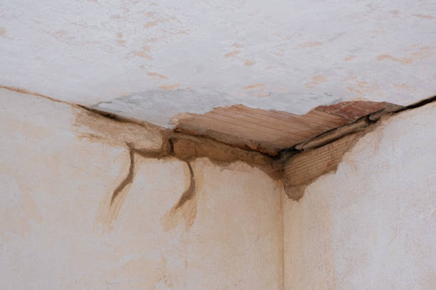 Best Water damage restoration near me  in Abbeville, AL