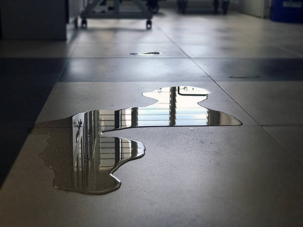 Best Professional water damage repair  in Abbeville, AL
