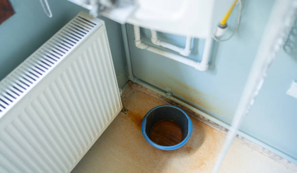 Best 24-hour water damage restoration  in Abbeville, AL